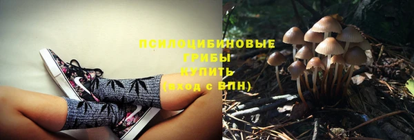 соль курить ск Балабаново