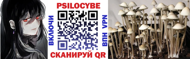 Псилоцибиновые грибы GOLDEN TEACHER  сколько стоит  Ленск 